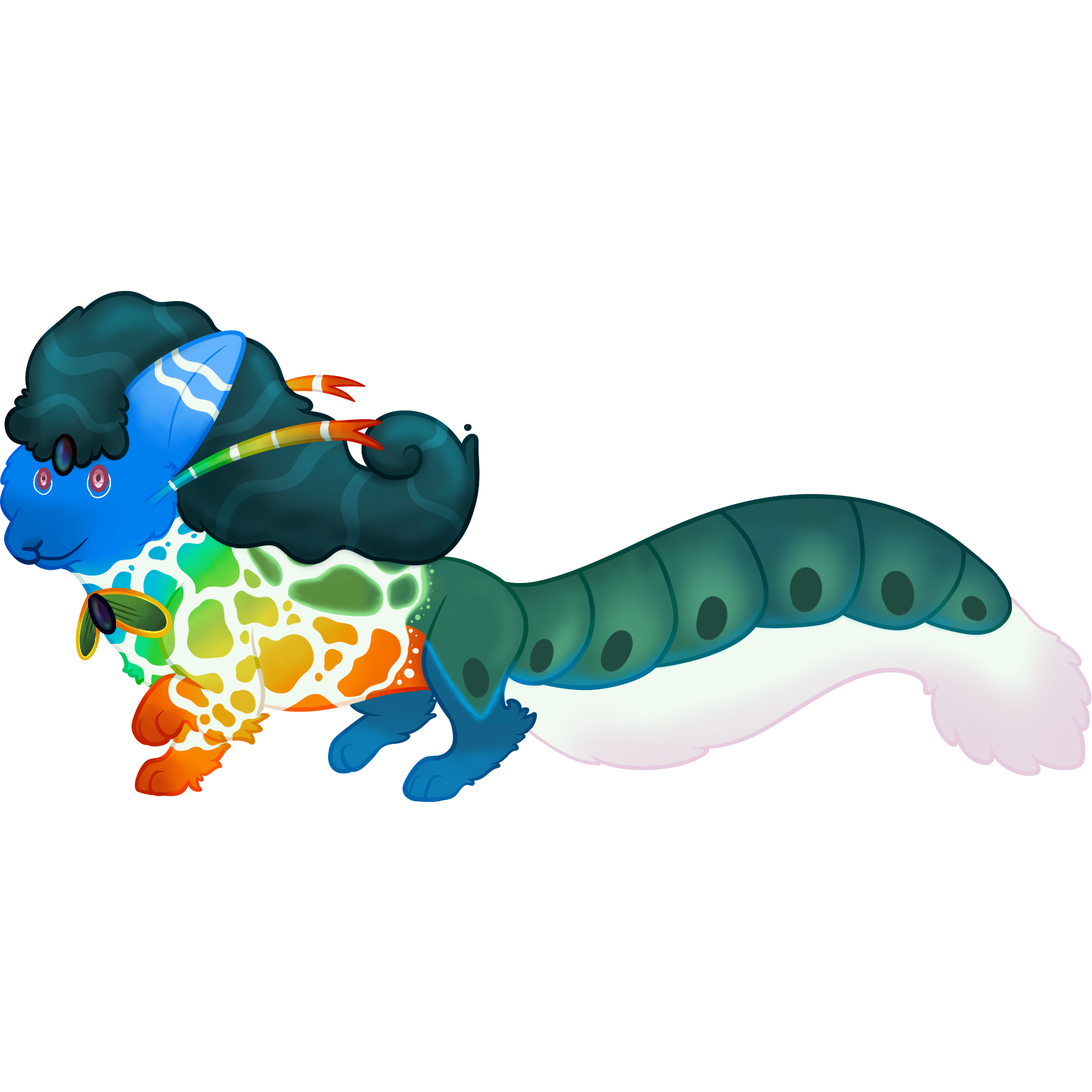 AQUA-209: Pavo