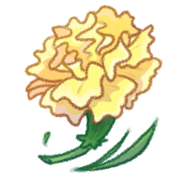 Duckling Carnation