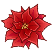 Poinsettia
