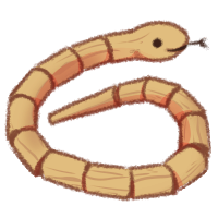 <a href="https://www.safiraisland.com/world/items/150" class="display-item">Wooden Snake</a>