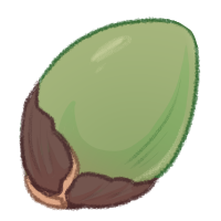 <a href="https://www.safiraisland.com/world/items/154" class="display-item">Pangolin Palm Seed</a>