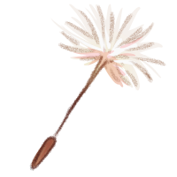 <a href="https://www.safiraisland.com/world/items/161" class="display-item">Dandelion Seed</a>