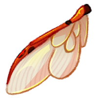 Ladybug Wing