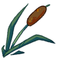 <a href="https://www.safiraisland.com/world/items/54" class="display-item">Cattail</a>