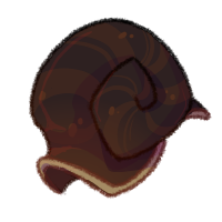 <a href="https://www.safiraisland.com/world/items/59" class="display-item">Snail Shell</a>