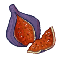 <a href="https://www.safiraisland.com/world/items/78" class="display-item">Fig</a>