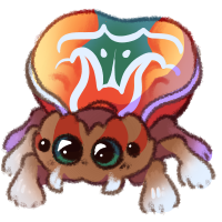 Peacock Spider Peacock Spider