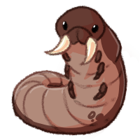Walrus Maw Grub