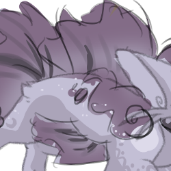 Extra Fins